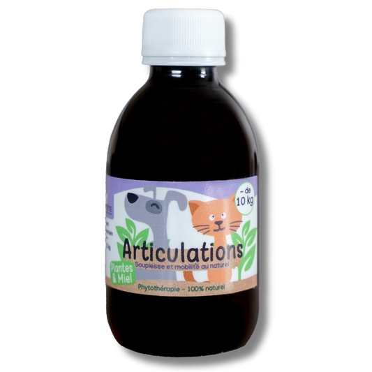 Natural Joint Syrup 200ml – Dogs and Cats under 10kg