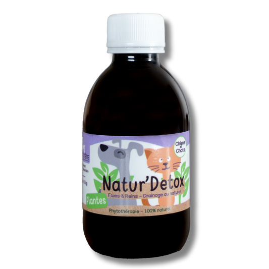 Natural Liver and Kidney Drainage Syrup 200ml - Natur' Detox