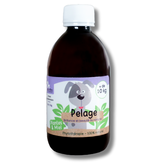 Sirop Naturel Pelage 300mL - Chiens + 10KG