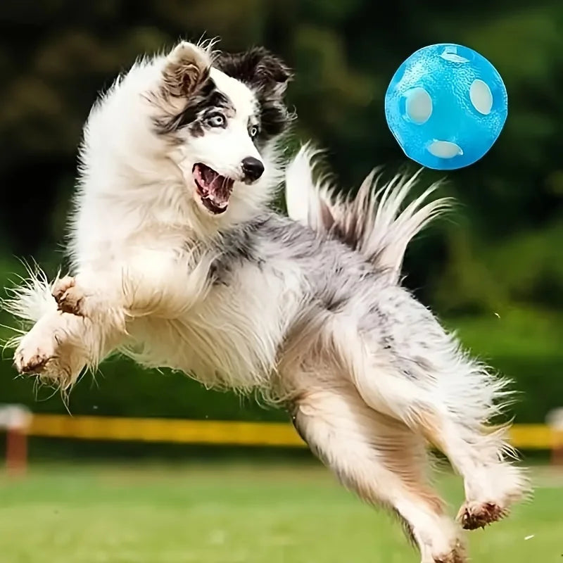 S240162c2bf5c42fd8146c25f9253f1f8M