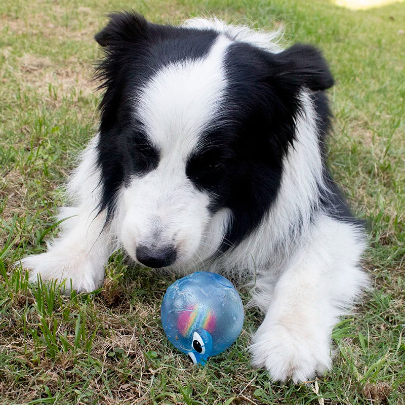 S61f0c206076d4df3b0891a1584870b39i