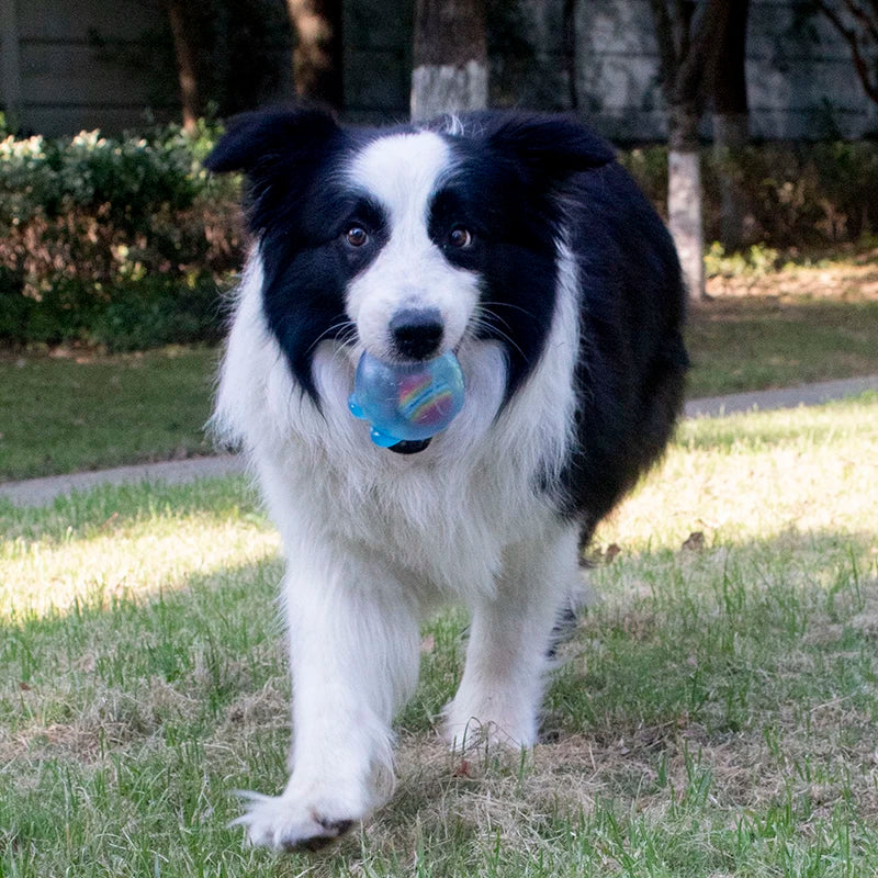 S86fb6884aa7a4bbfa24e317b79876f87M