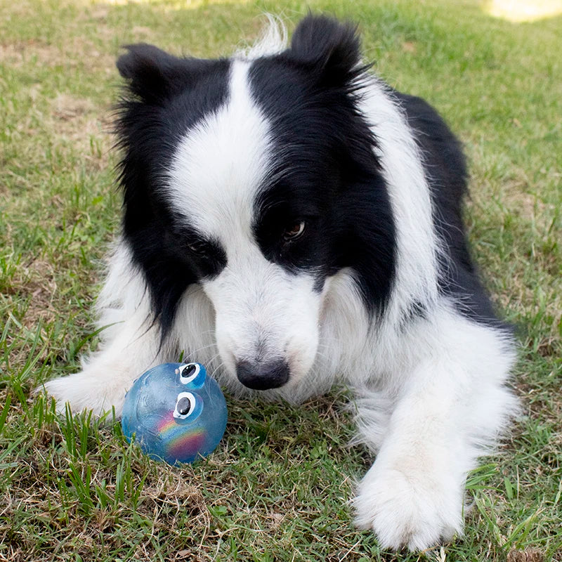 Sa0117079e160402087a2fd574952db9ce