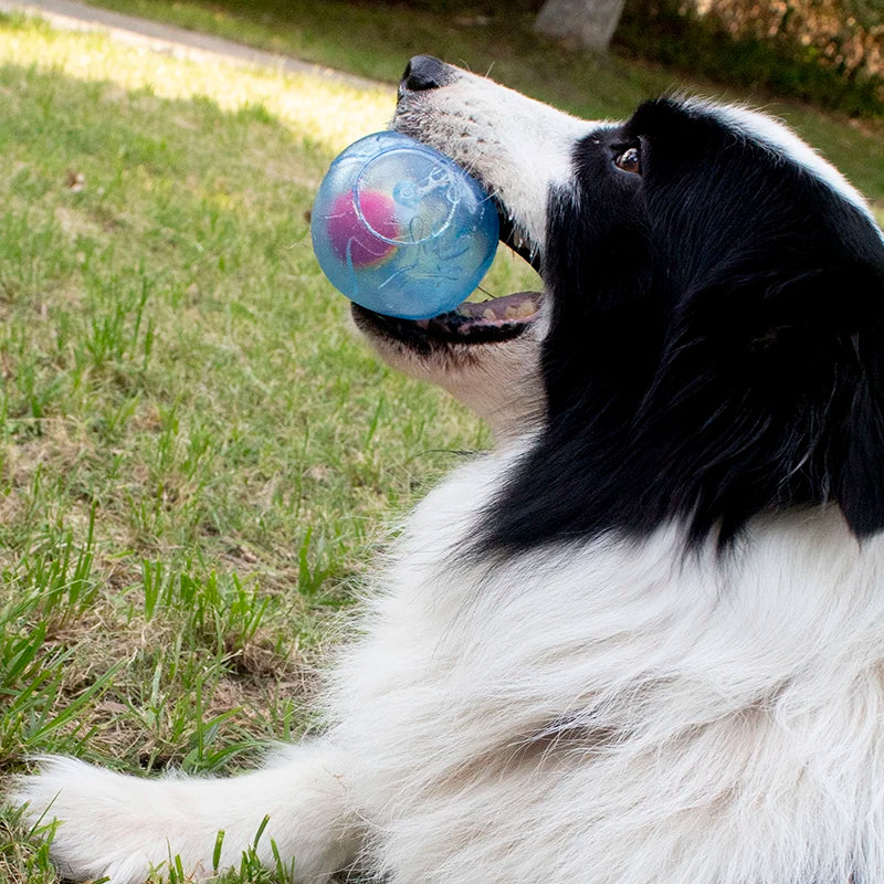 Sf6265345cbc042d8b3f05e96a6d63e41o